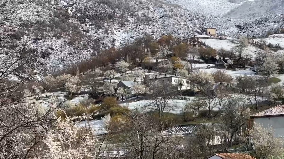 Bulqizë dhe Dibër, bora mbulon fshatrat, priten dëme në bujqësi