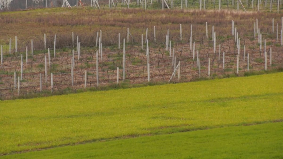 “Subvencione gjithëpërfshirëse”, kërkohet nga banorët e fshatrave