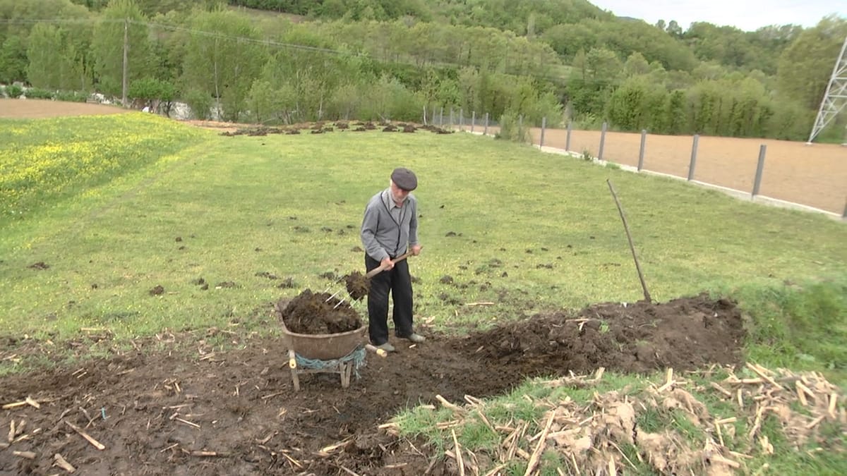 ÇMIMI I LARTË I NAFTËS DETYRON BUJQIT T’I KTHEHEN PUNËS ME KRAH