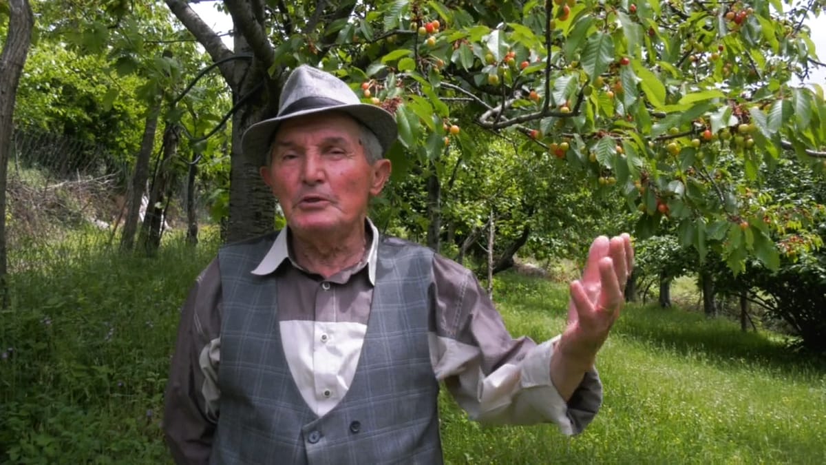 Frutikultura ka nevojë për këshillat e specialistëve