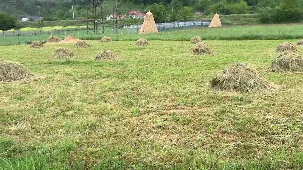 Me 25 Maj hapet skema për mbështetjen në bujqësi
