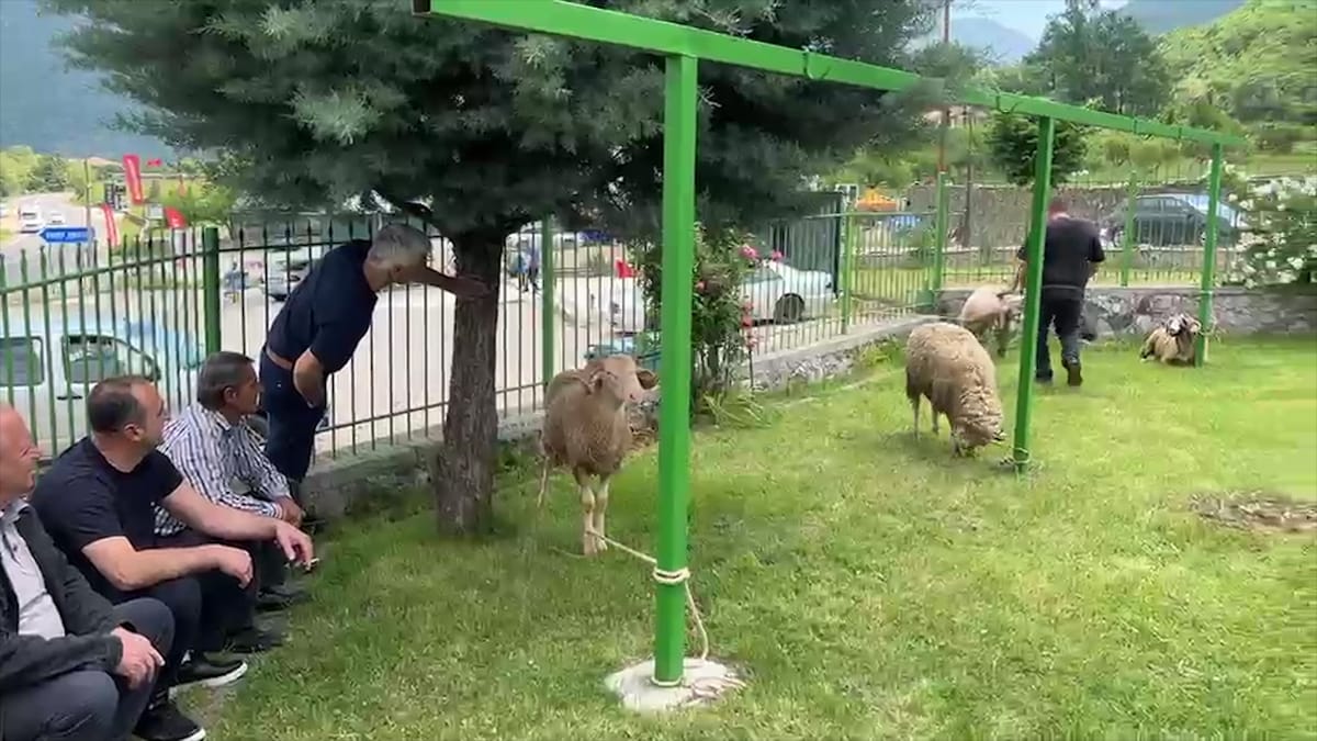NESËR, FESTA E KURBAN BAJRAMIT
