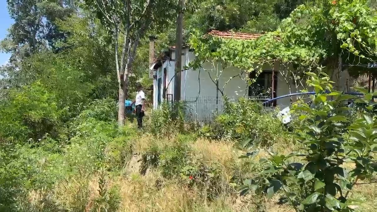 ANKOHET FAMILJA XHEPI NGA FSHATI PLESH NË KLOS