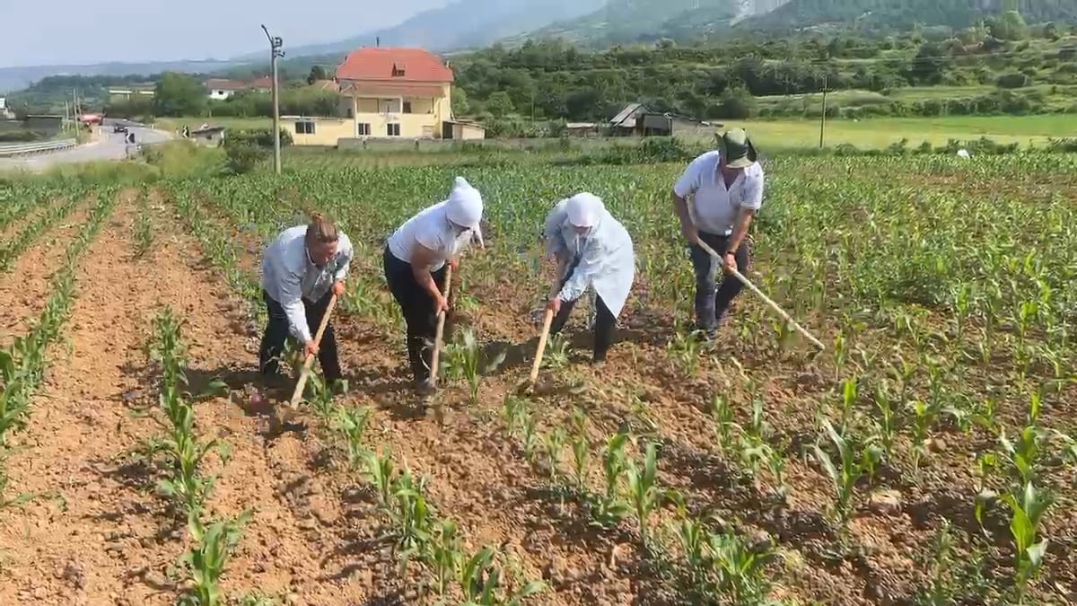 FAMILJA E PËRKUSHTUAR NDAJ BUJQËSISË NË MELAN TË DIBRËS