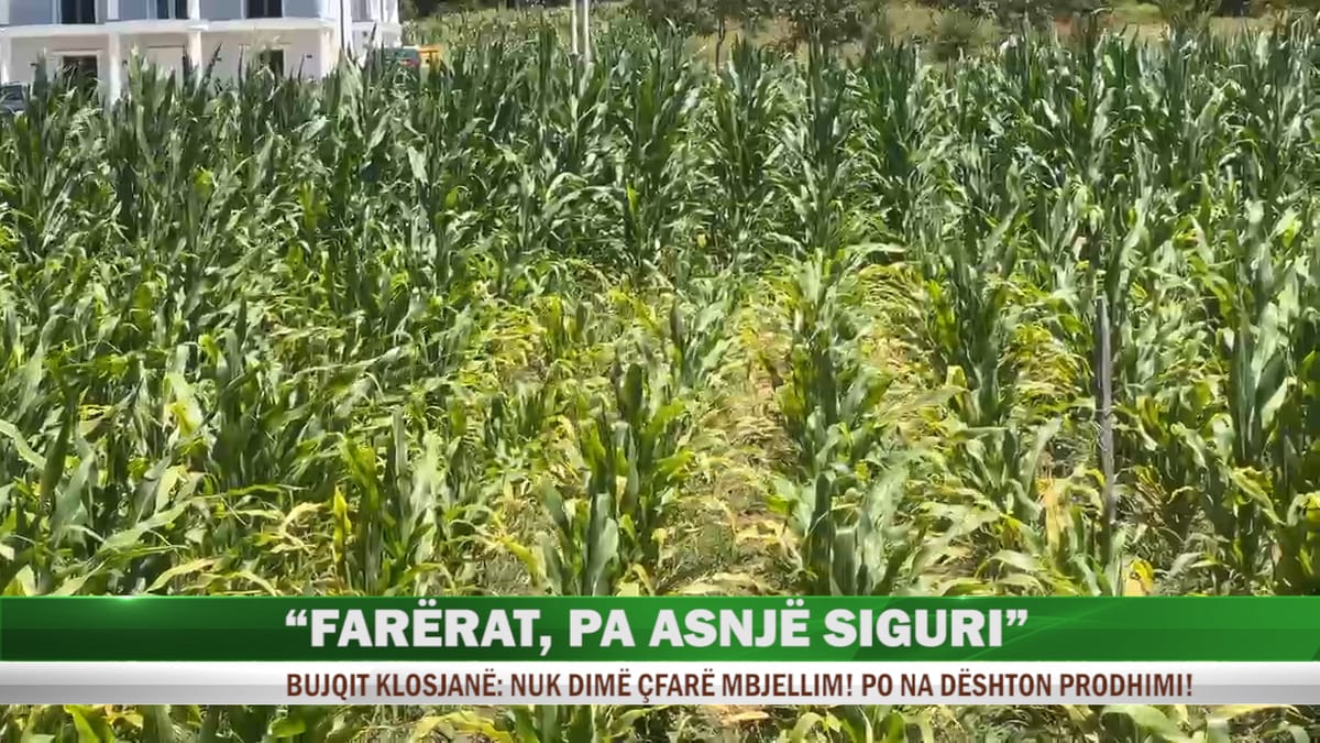 Farërat pa asnjë siguri, bujqit: nuk dimë çfarë mbjellim