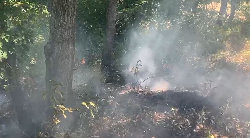 Që dje aktiv, vijon lufta me flakët në Ulëz. Terreni vështirëson operacionin