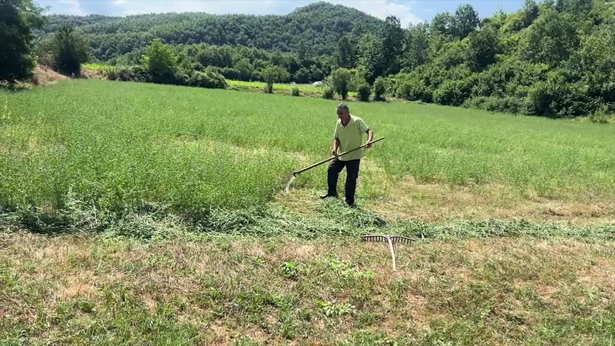 “Viçishti i poshtëm” fshati që ka mbetur me 11 banorë