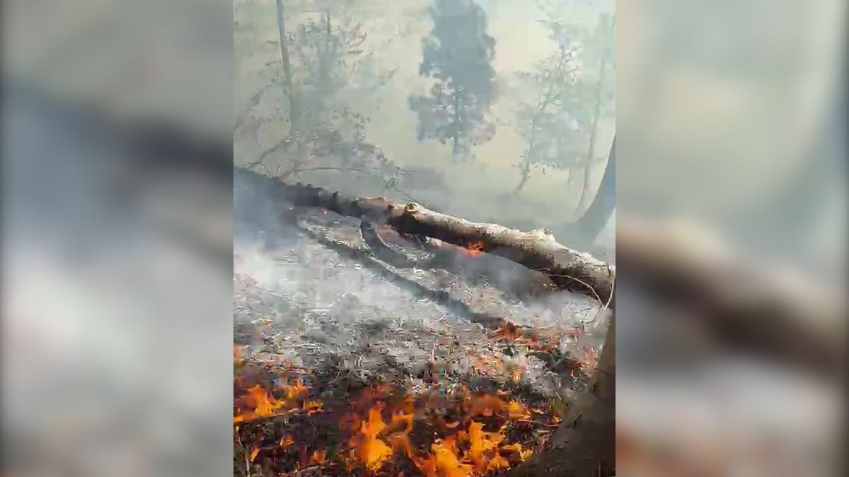 RIAKTIVIZOHET VATRA E ZJARRIT NË QAFË HELMES TË BULQIZËS, EDHE NË BALLENJË PO LUFTOHET ME FLAKËT