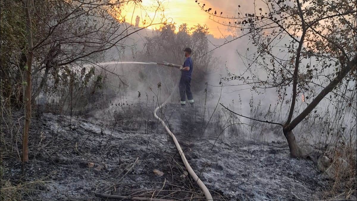 SHUHET ZJARRI NË PARKUN KOMBËTAR "LURË - MALI DEJËS", BASHKIA DIBËR BËN BILANCIN 276 HA TË DJEGUR E PËRSHKUAR NGA FLAKËT