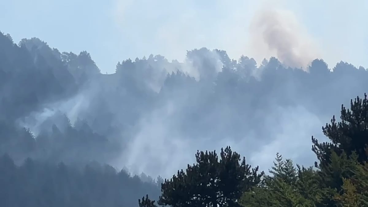 SITUATA NGA ZJARRET NË DIBËR, SPAHIU NGA LURA: JEMI DREJT VËNIES NËN KONTROLL