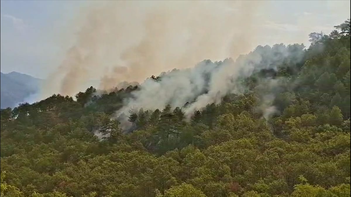 SITUATË KRITIKE NË FSHATRAT E ULZËS, VIJON NDËRHYRJA NGA AJRI DHE TOKA