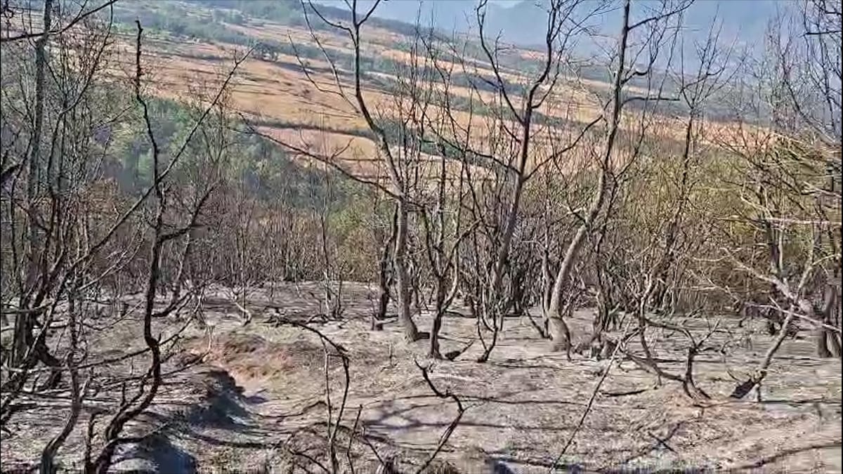 IZOLOHET VATRA E ZJARRIT NË MALLUNXË, NË ULËZ SITUATA MBETET KRITIKE