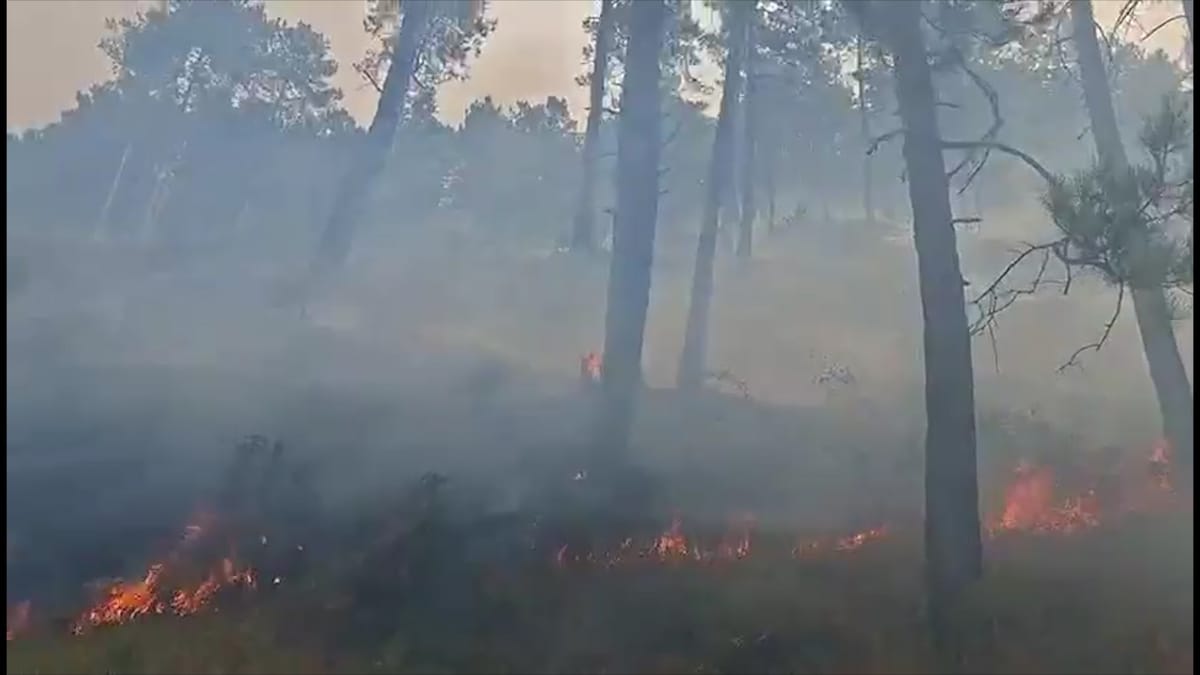 ZJARRI NË FSHATRAT E ULZËS, SITUATA MBETET KRITIKE