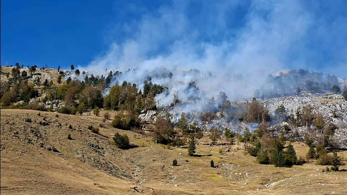Vijon zjarri në Dejë Macukull, flakët përhapen nga era e fortë