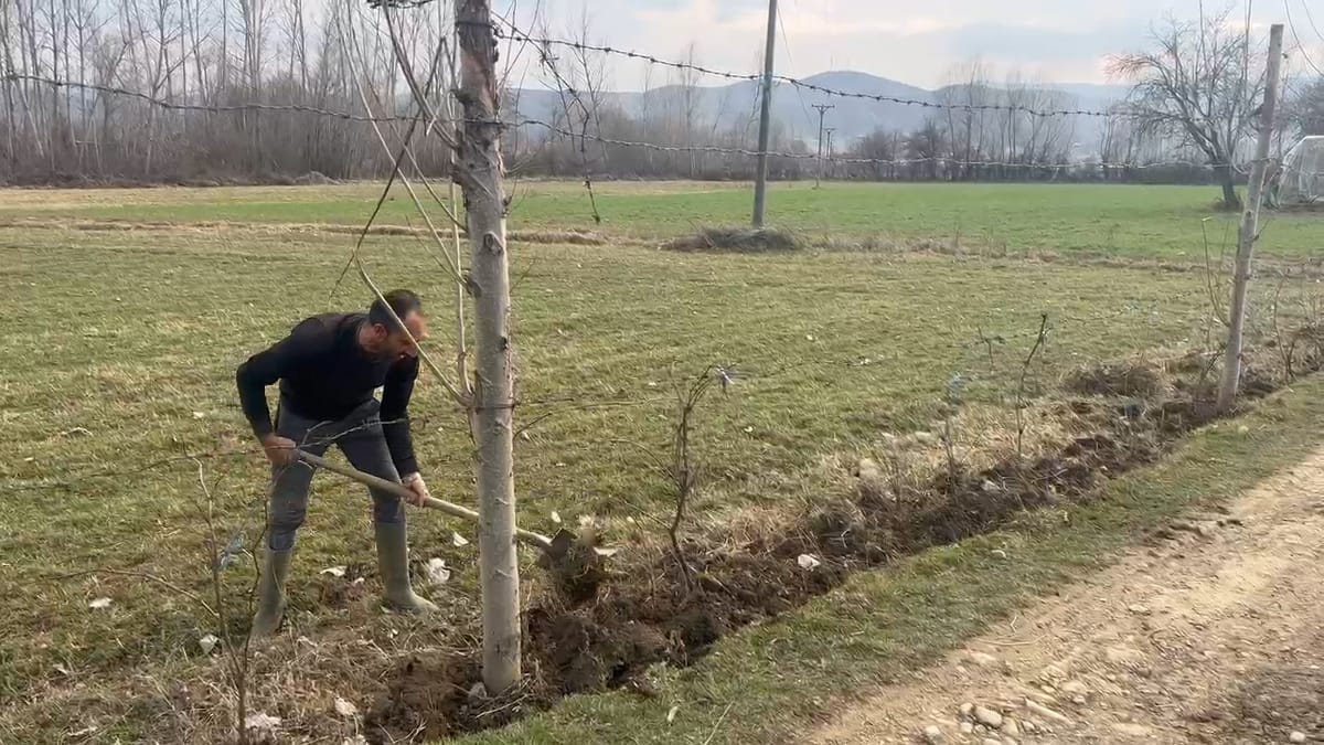 Gjoricë, 35-vjeçari që nuk është larguar jashtë vendit, punon në fshatin e tij të lindjes