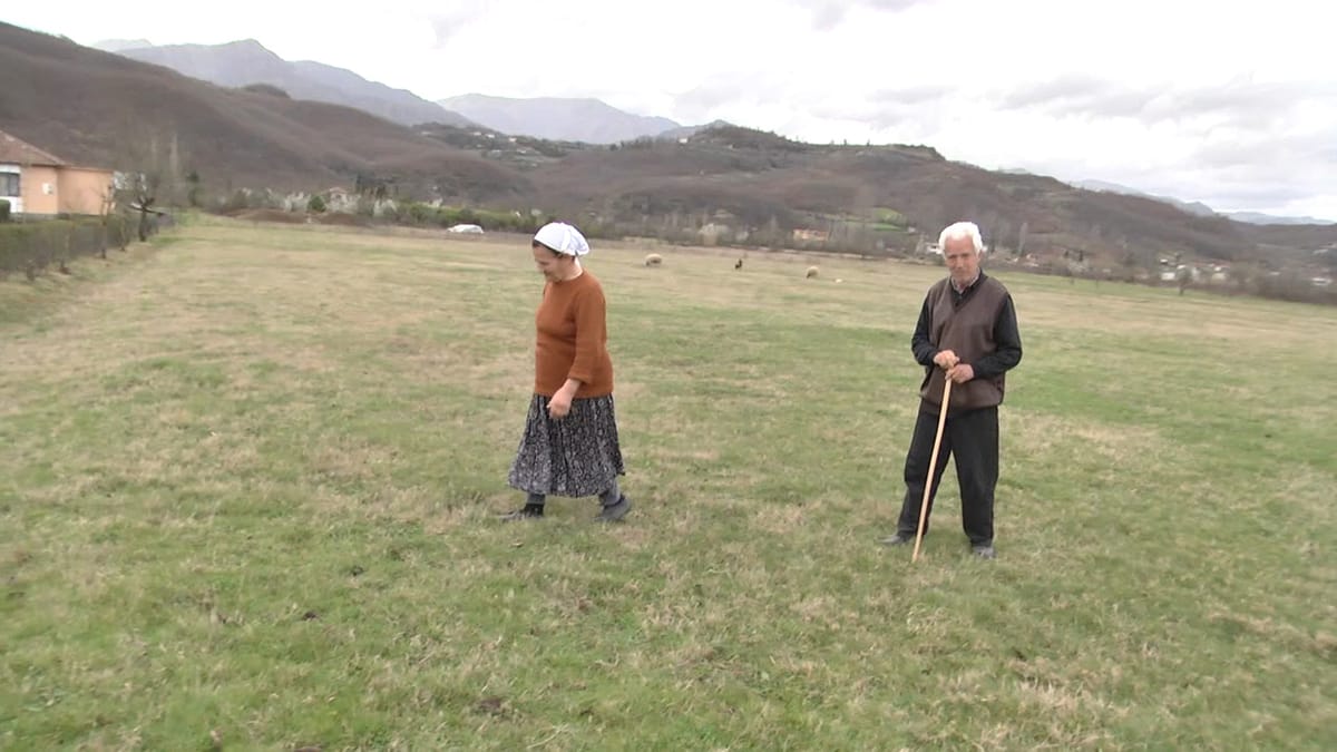 Suç / Bashkëshortët Sulaj nuk i ndahen bujqësisë