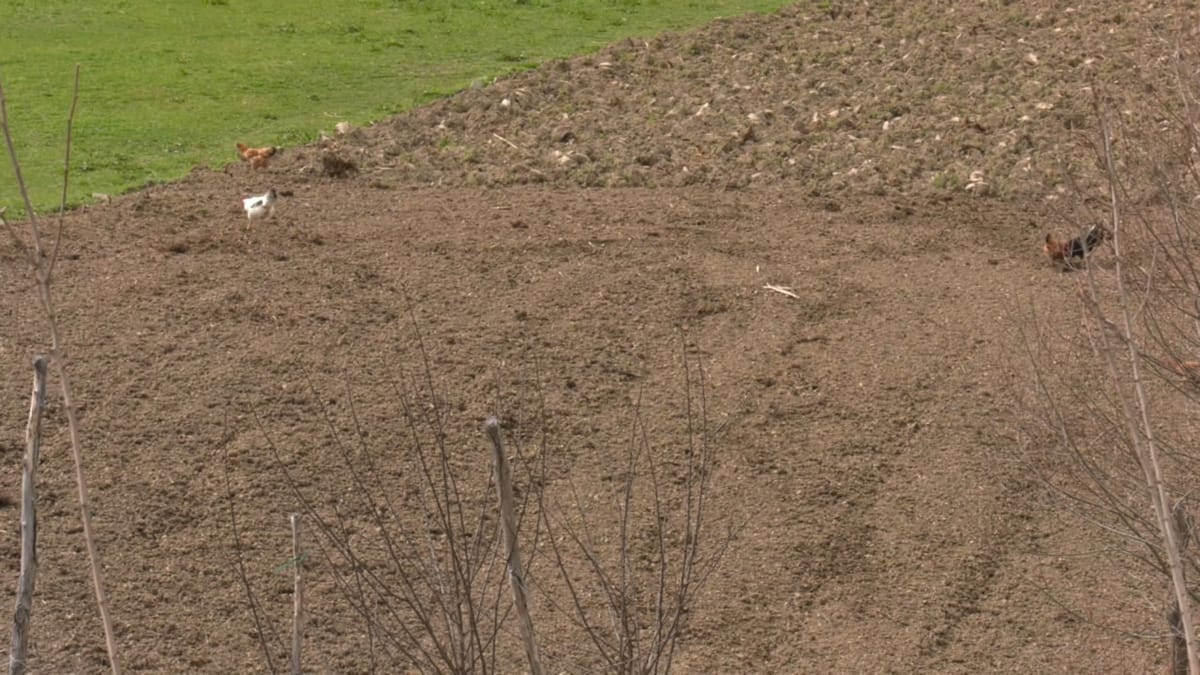 SULLTAN NEVRUZI KA RITET E TIJ