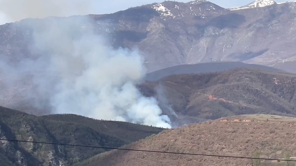 Zjarre në Bulqizë e Dibër, prefekti Shehu: angazhim për t'i shuar