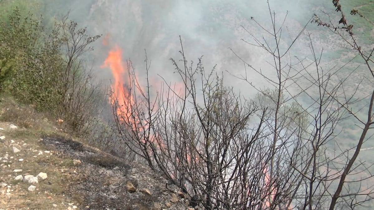 FUSHË BULQIZË / ZJARR NË KODRËN E DANIT