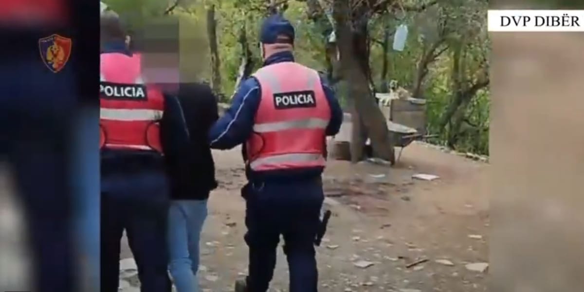 DIBËR/ Vodhi 3 automjete dhe 12 targa, arrestohet 22-vjeçari në Dibër, dyshohet se përdoreshin veprimtari kriminale.