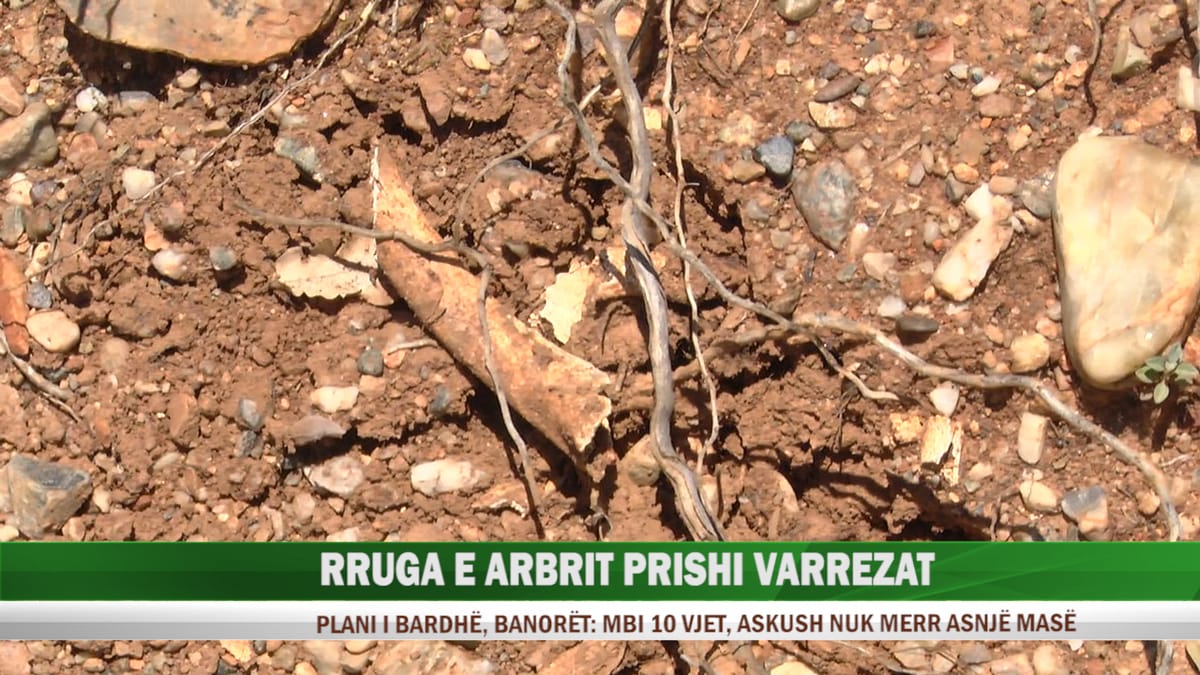 Plan i Bardhë, eshtrat njerëzore dalin në sipërfaqe. Banorët: u dëmtuan gjatë hapjes së rrugës së Arbrit