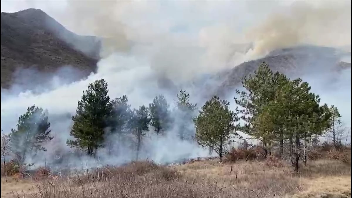 LURË/Digjen 50 hektarë kullota dhe pyje. Vatra e zjarrit vijon të jetë aktive, autoritetet lokale thirrje për ndihmë nga ajri