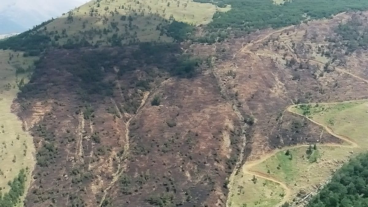 BILANCI I ZJARREVE TË FUNDIT NË BALGJAJ E SHKOPET