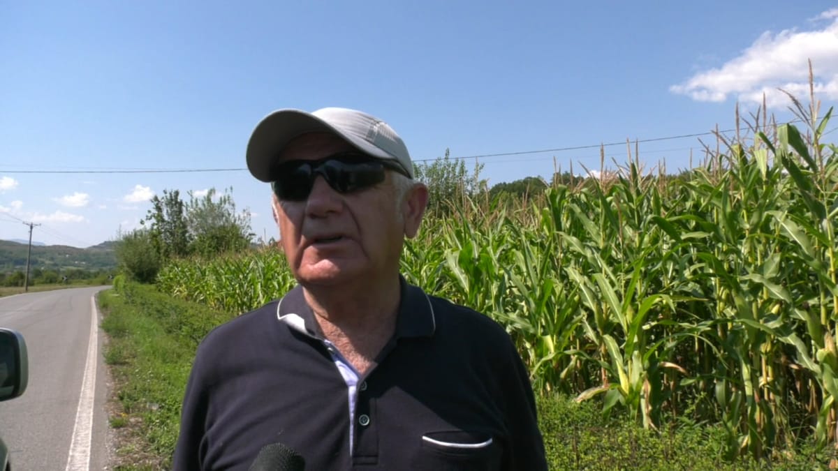 Murtaja e deleve e dhive. Mjeku veterinar: “Vendi ynë mbetet i pastër”