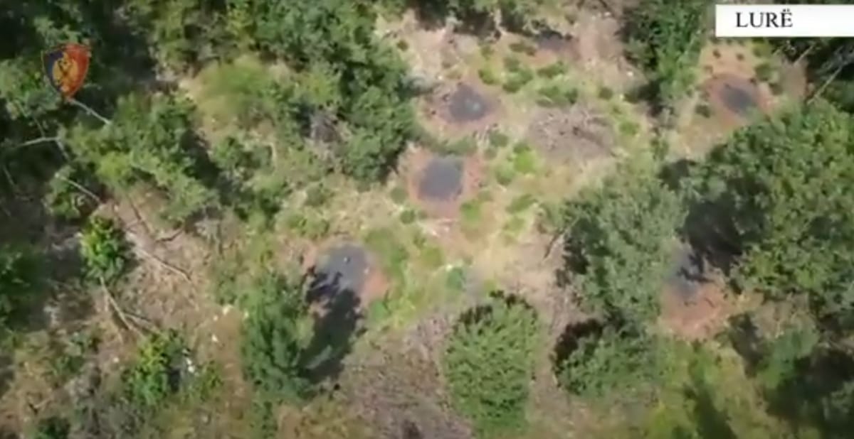 EMRAT/ Prisnin pyjet ne Krejlurë dhe i digjnin për të prodhuar qymyr, e pësojnë dy persona në Dibër dhe specialisti i pyjeve