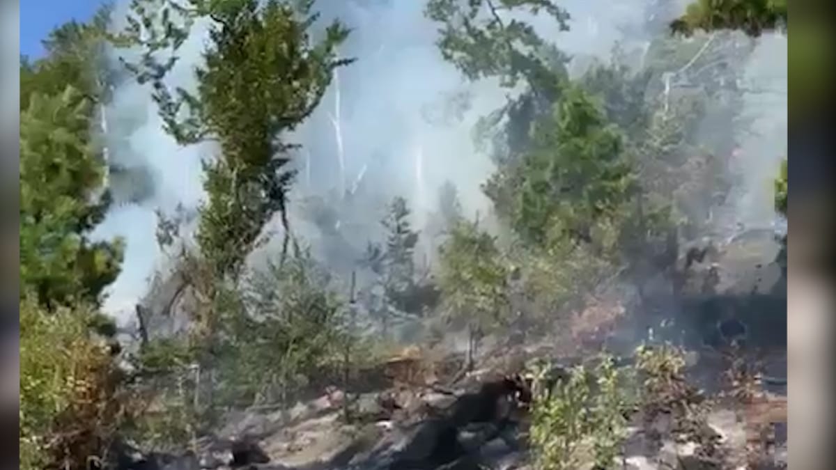 Riaktivizohet zjarri në masivin pyjor të tërnovës. 100 forca të ushtrisë në ndihmë për shuarjen e zjarrit në bashkinë e bulqizës