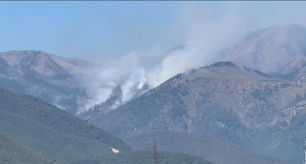 Del jashtë çdo kontrolli zjarri në malin e Tërnovës në Bulqizë
