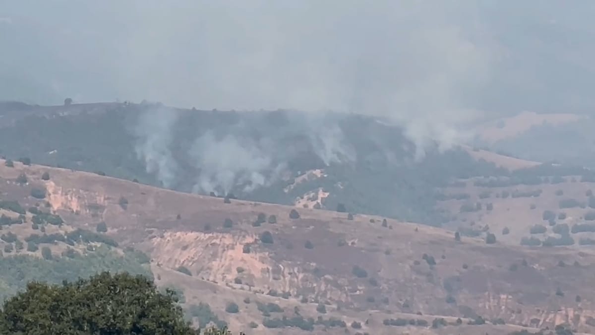 Zjarr në malin e fshatit Ketë në Xibër, rrezikohet një nga zonat më të bukura me pemë halore Ahu