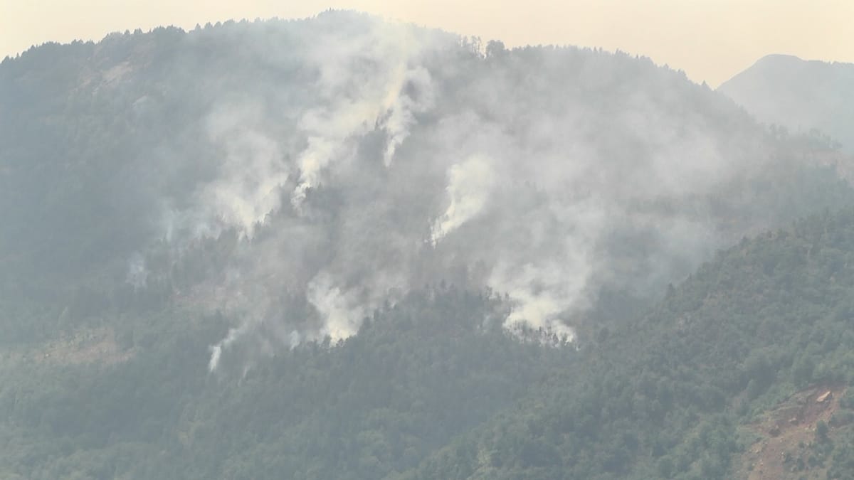ZJARR NË MASIVIN PYJOR TË TËRNOVËS, RREZIKOHET KURORA E LIQENIT TË ZI