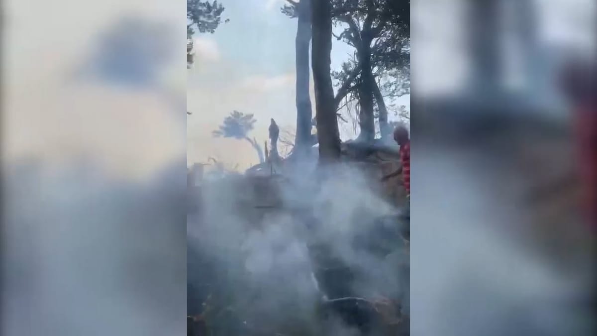 Mbahet nën kontroll vatra e zjarrit në Xibër