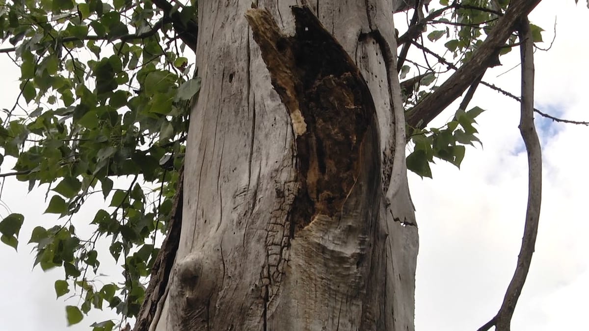 PLEPAT, RREZIK PËR PËRDORUESIT E RRUGËS NACIONALE BURREL-MILOT