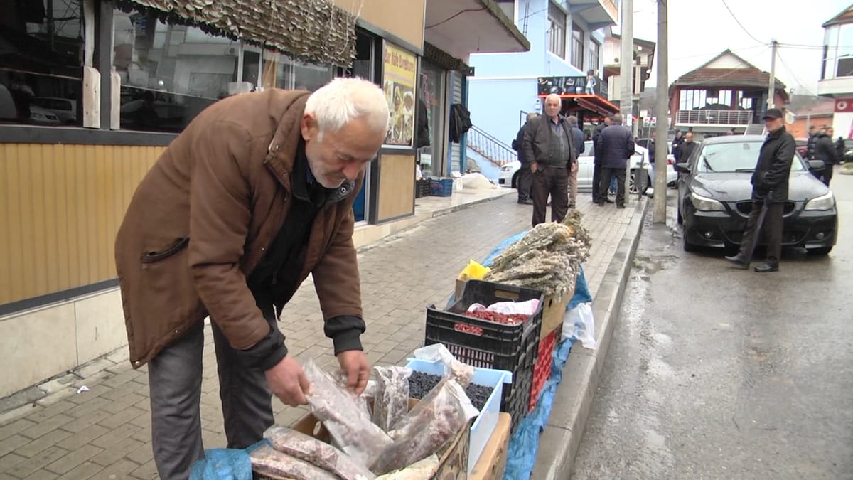 Pensionisti që shet bimë për të ndihmuar ekonominë familjare