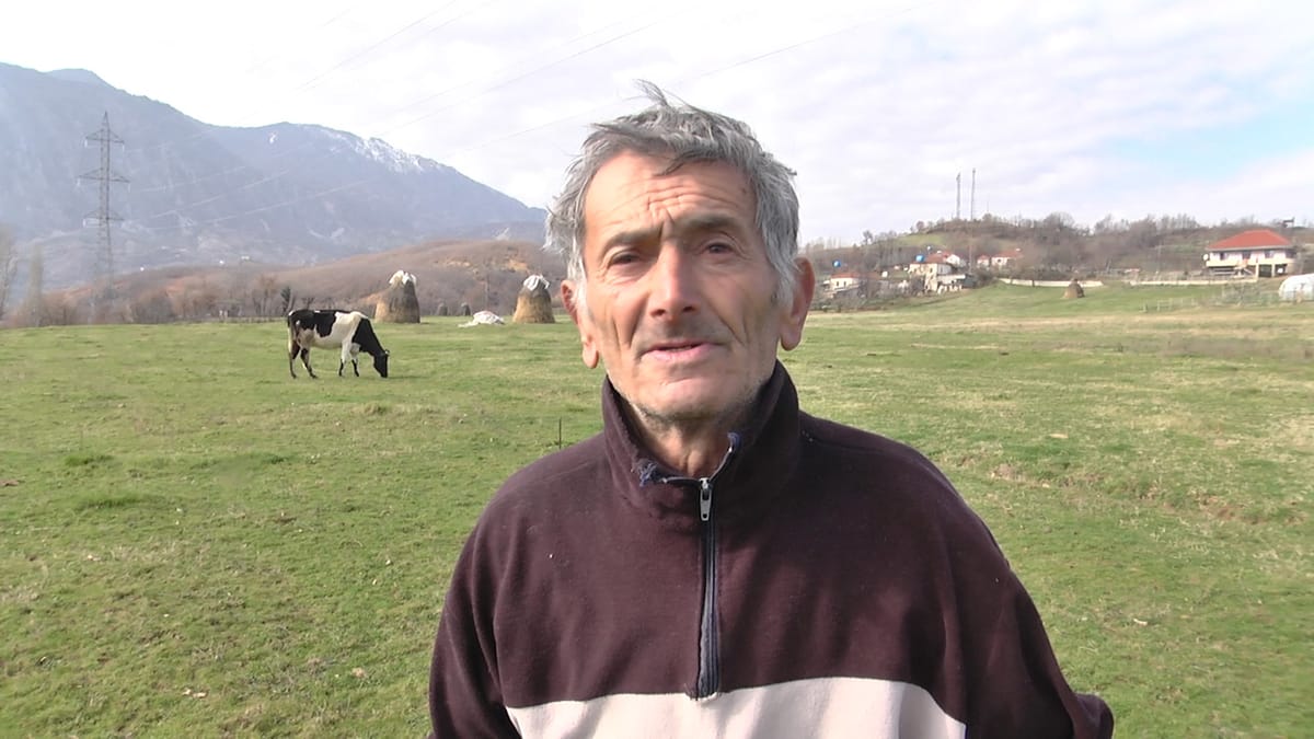 Bujqit të stepur ndaj punimit të tokës, arsyeja, çmimet e larta