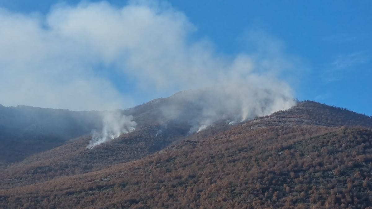 Nisin zjarret në malet e Bulqizës, dy vatra në malin e fshatit Peladhi