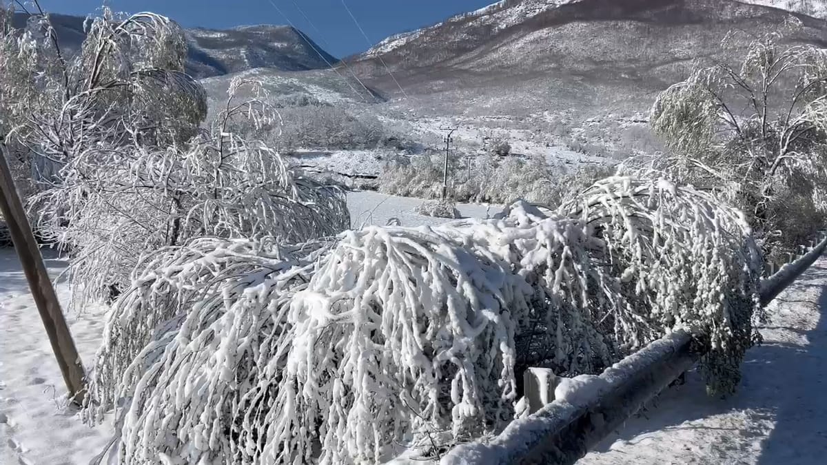 Prefekti Shehu: Kemi nxjerrë në terren grupet e verifikimit të dëmeve nga ngricat