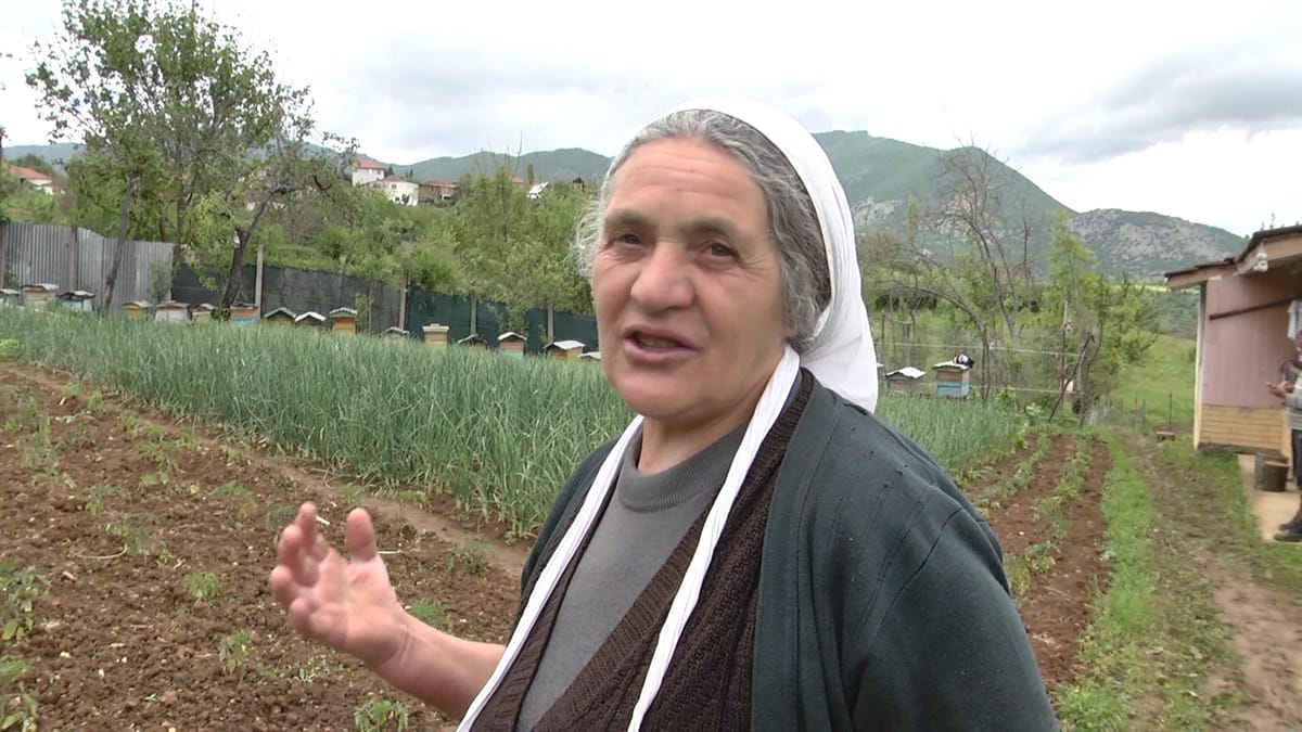 U rikthye nga emigrimi për tu marrë me bujqësi në vendin tonë, Adhurim Qorri nga Sopoti i Bulqizës mbetet i zhgënjyer