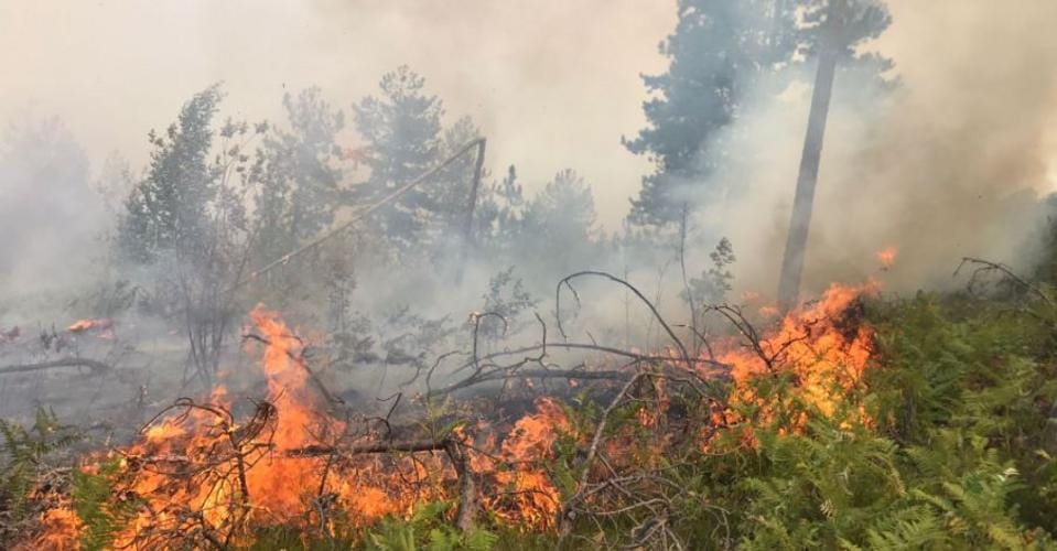 58 vatra zjarri në 24 orët e fundit, ja zonat më të prekura?