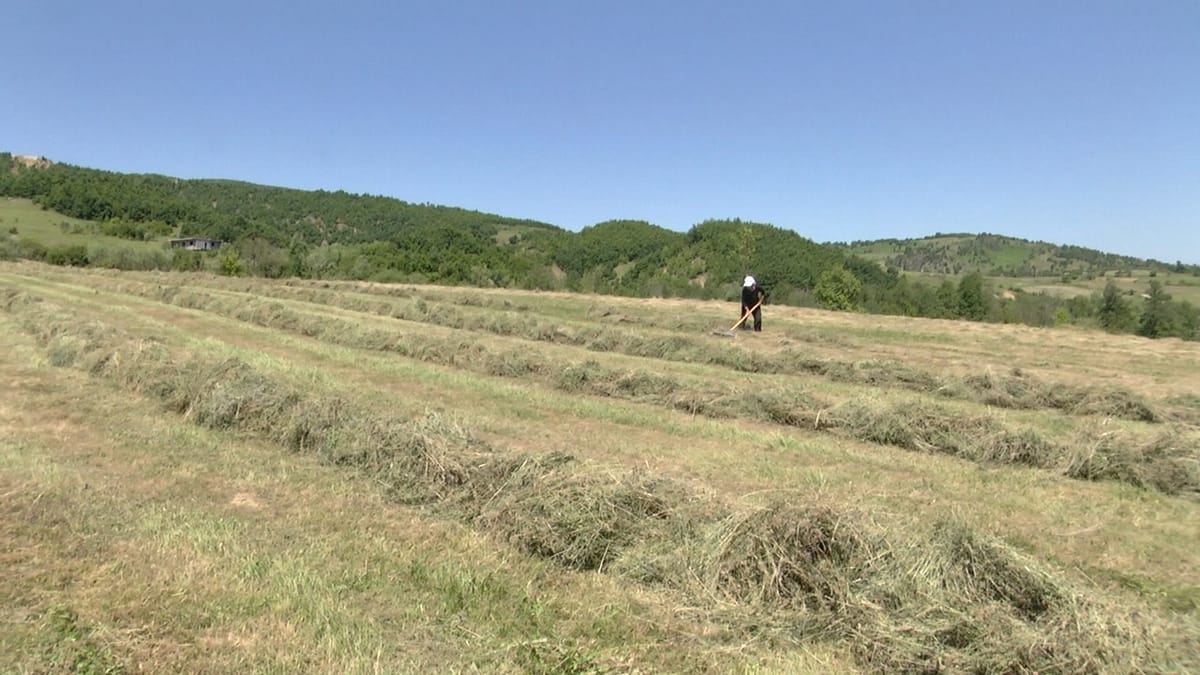 Bulqizë – Tokat në Miresh të lëna djerrë, banorët kërkojnë mbështetje dhe rihapjen e doganës historike