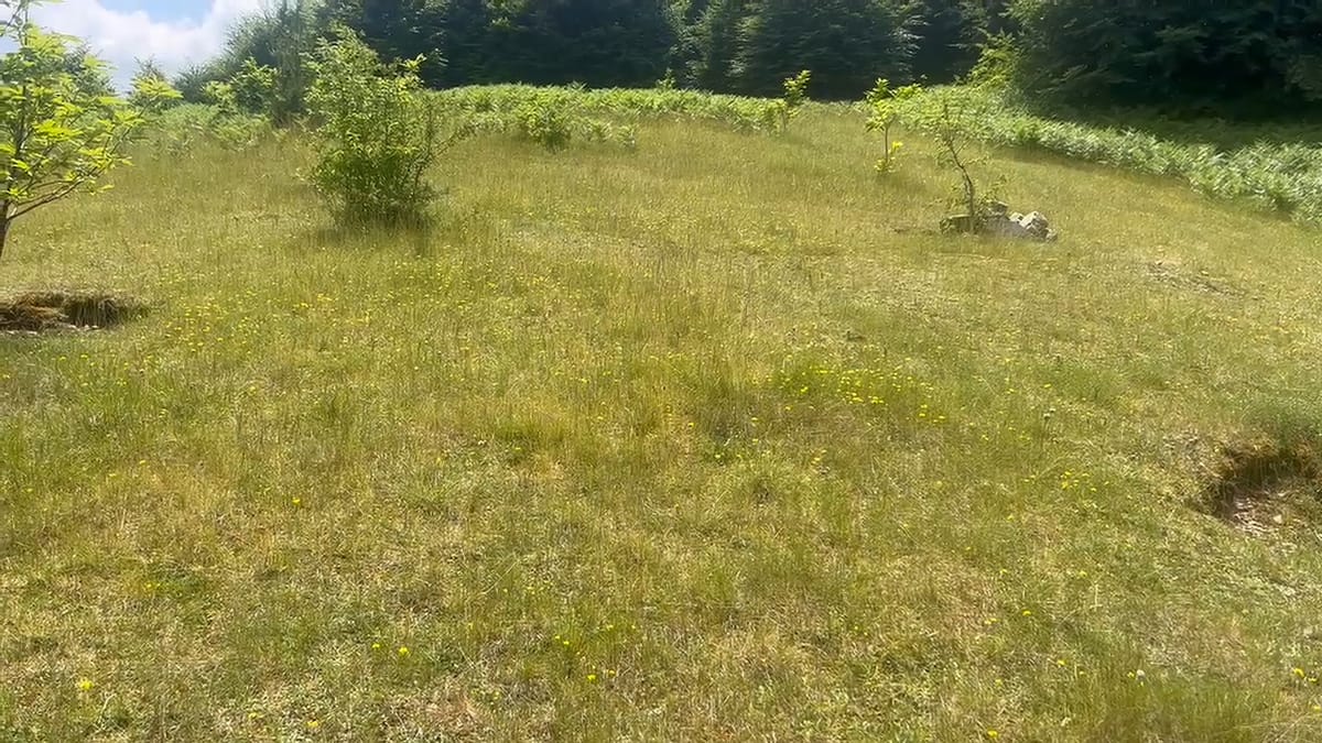 Bypassi i Murrizit, tashmë më i pastër, shkak devijimi i qarkullimit në tunel