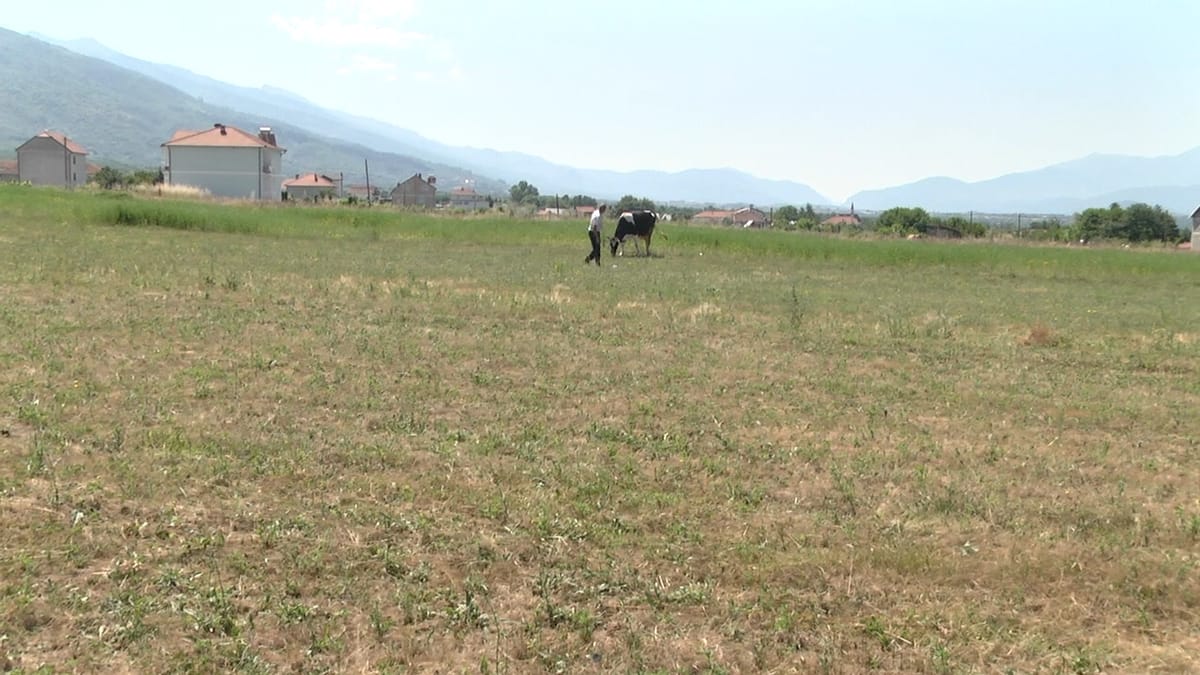 Mungesa e ujit vaditës, problem për banorët e Bllatës së Sipërme