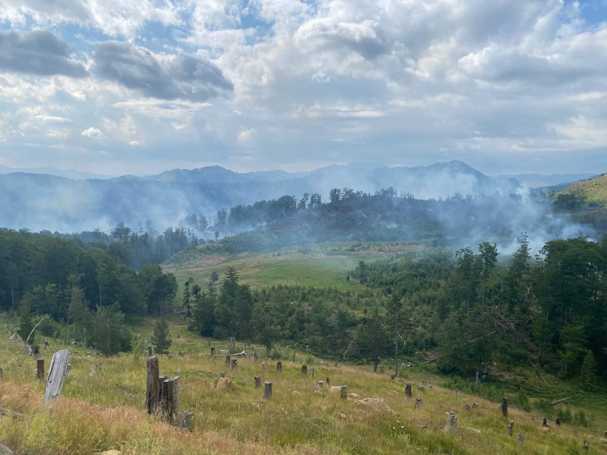 Lurë/ Zjarr në masivin pyjor pranë Liqenit të Luleve, pritet ndërhyrje nga ajri