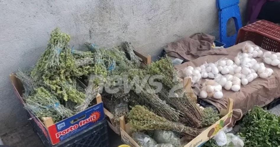 Jo më qumësht dhe bulmet pa kupton tatimor, fermerët e Beratit: Jemi kundër, ne shesim prodhime bio fushe me sasi shumë të vogël