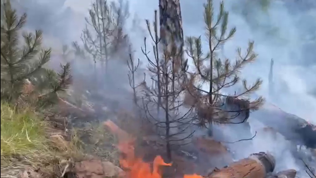 (VIDEO)Përkeqësohet situata e në parkun Kombëtar "Lurë mali Dejës", zjarri rrezikon stanet me 100 krerë bagëti të imtë, gjedhë e koshere bl