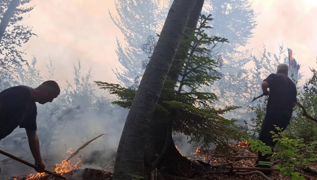 (VIDEO)Situatë kritike në Zall Gjoçaj, kërkohet evakuimi i staneve, bagëtisë dhe bletëve