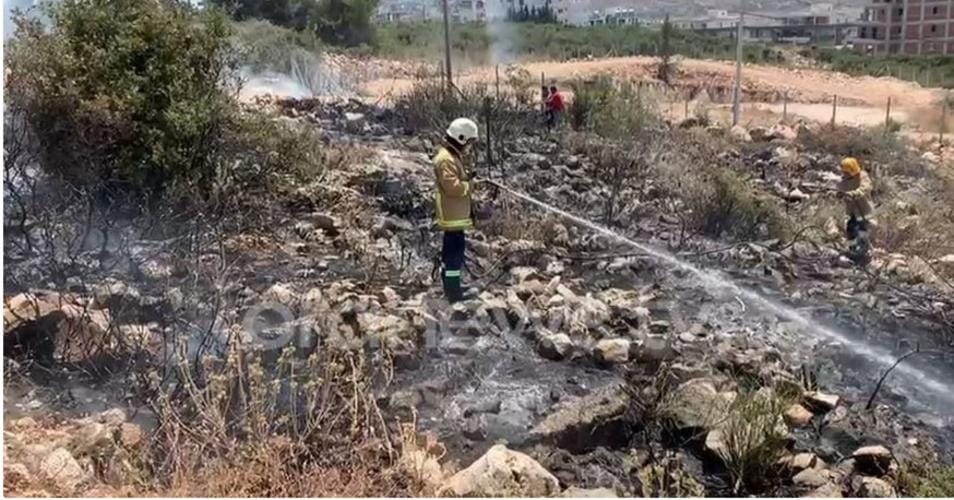 Zjarr në Sarandë/ Shkaktohet nga një pemë që rrëzohet mbi linjën elektrike