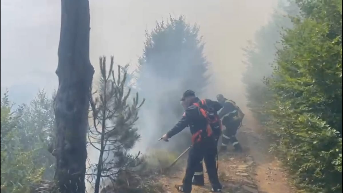 Vijon lufta me flakët në Lurë, dhjetra persona të angazhuar, por era e fortë pengon shuarjen e zjarrit